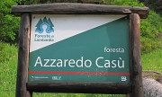 04 Nella foresta Azzaredo - Casù...